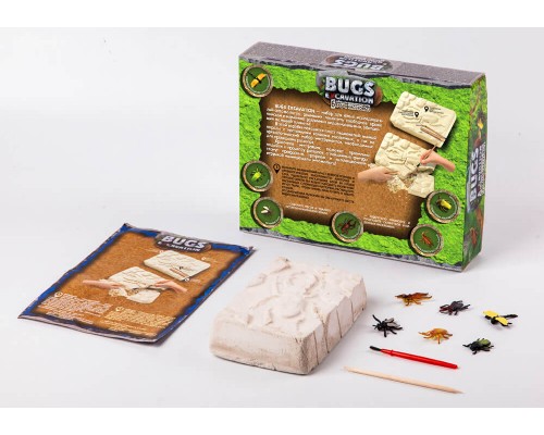 Набір Розкопки Жуки - Комахи (01-01)